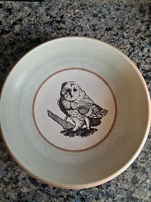 Buy Purbeck Pottery Vintage Speckled Bowl, Pale Green Pasta, Soup Owl Design 21.5cm  • 3£