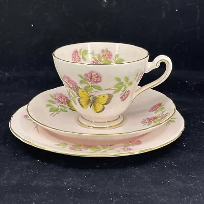 Buy Tuscan Fine English Bone China Pink  June Glory  Butterfly Footed Teacup Trio • 43.37£