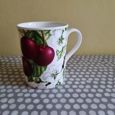 Buy Royal Grafton Fine Bone China Summer Fruits Mug.  Prunus Avium  • 8.80£