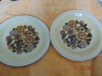 Buy Poole Pottery, Thistlewood.  Dinner  Plates Used • 4£
