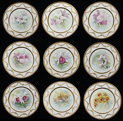 Buy Rare1 Antique Wileman & Co The Foley China Flower Pattern Plate Series 79.10448 • 758.97£