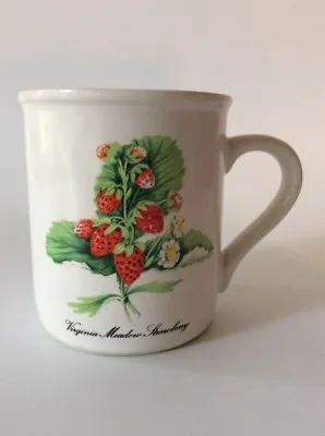 Buy Virginia Meadow Strawberry Coffee Cup • 14.45£