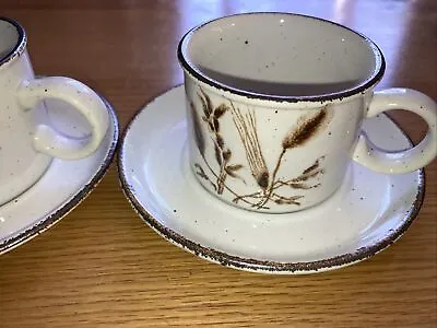Buy Vintage Pair Of Midwinter Stonehenge Wild Oats Tea Cup & Saucers • 9.99£