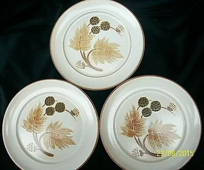 Buy  Denby. Langley. Cotswold. Tea Plates . Side Plates.  THREE  • 15£