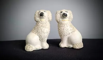 Buy Antique Pair Staffordshire Ware Confetti Dog Figurines Spaniel Poodle 3.5” Tall • 72.97£