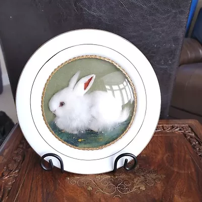 Buy Vintage Kitch Domed Bubble Glass Bunny Rabbit Decorative Plate  Retro 21cm • 25£