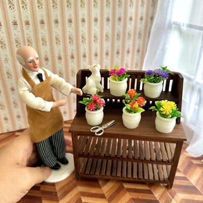 Buy 5PC Miniatures 1:12 Scale Dolls House Potted Plants Flower Garden Accessories • 5.99£