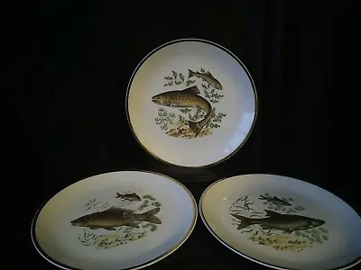 Buy Vintage Plates  With Imag Of Fish, Liverpool Road Pottery X3 • 35£