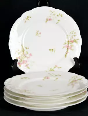 Buy 5 - Haviland & Co Limoges France Luncheon Plate 8 1/4  Pink Floral (BA11610) • 44.19£