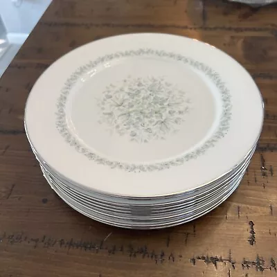 Buy Set Of 10 Oxford Meadowlark Bone China Dinner Plates • 28.42£