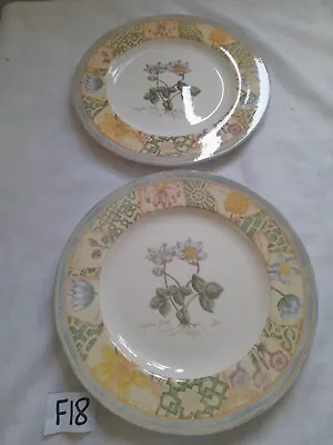 Buy WEDGWOOD HOME GARDEN MAZE  DINNER PLATES X 2 In Rare Perfect Unused Condition • 15£