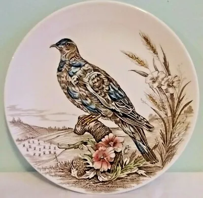 Buy British Anchor Wild Birds Of Heath & Moorland Pigeon 10 Inch Display Plate • 12.99£
