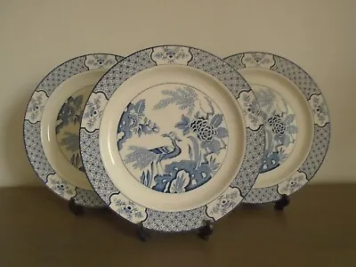 Buy Three Wood & Sons  Yuan  Pattern Blue & White Dinner Plates ~ 10  Diameter • 19.95£