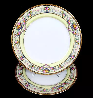 Buy Thomas Bavaria German Porcelain Briarcliff 2 Pc 9 3/4  Dinner Plates 1908-1939 • 36.16£
