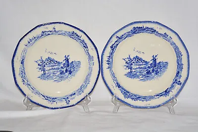 Buy Vintage Royal Doulton Norfolk 9.4  / 24cm Dinner Plates  Windmill Blue White X 2 • 18£