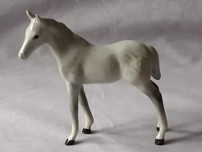 Buy Vintage Beswick Grey Smaller Thoroughbred Foal First Version 1816 Figure. • 25£