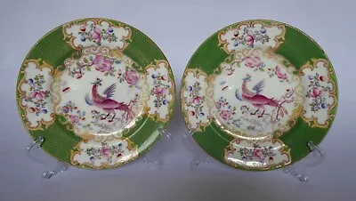 Buy Two Minton Tea / Side Plates (16cm / 6 & 3/8 ). Cockatrice Pattern. Free UK Post • 14£