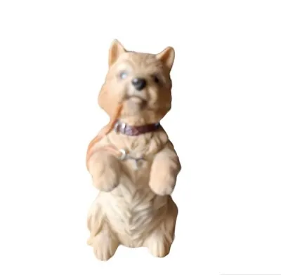 Buy Royal Osbourne Brown, Bisque West Highland Terrier 4  Tall Preloved VGC • 6.99£