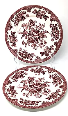 Buy Royal Stafford Asiatic Pheasant Fine Earthenware Dinner Plate 11  Red • 25.88£