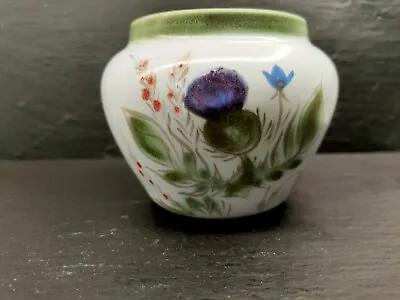 Buy Buchan Portobello Pottery. Scotland . Small Vase. Thistle . • 5£