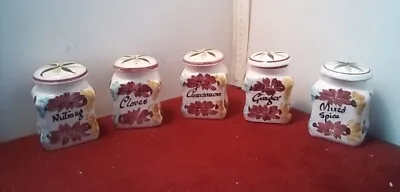 Buy Babbacombe Toni Raymond Pottery 5 Herb/Spices Jars  • 18£