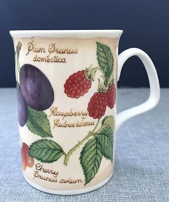 Buy Roy Kirkham Parchment Fruit Mug 2000 • 4.99£