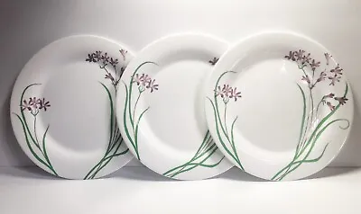 Buy Martha Stewart Pacific Wildflower Break Resistant Glass Dinner Plate Set Of 3 • 4.80£