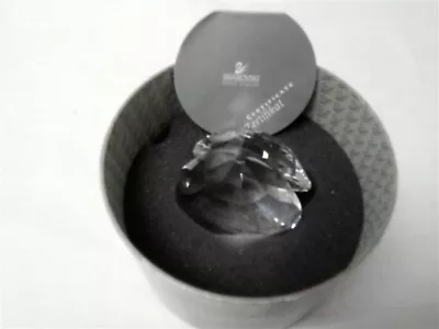 Buy Swarovski Crystal Oyster Shell With Pearl With Box & COA • 9.99£