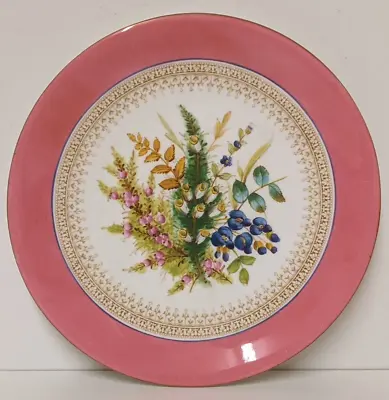 Buy Royal Crown Derby Bone China Plate Florist Bouquet Within Wide Pink Border 1883 • 19£