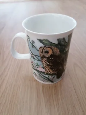 Buy Dunoon Fine Bone China Mugs Tawny Owl With Original Box • 8.90£