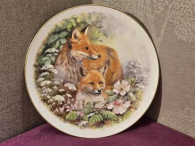 Buy Vintage Nicholas John Fine Bone China Dorothy Wallace Foxes 8  Ornamental Plate • 3.99£