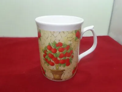 Buy DUCHESS - Red Orange Fruits Garden Cute Funny Novelty Coffee Mug Tea Cup England • 11.95£