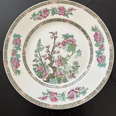 Buy VTG John Maddock & Sons Indian Tree 10  Dinner Plate Gold Trim Floral China • 19.25£