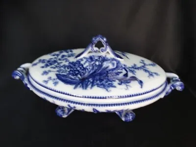 Buy 1830's Rare  William Adams Flow Blue FERN Oval Covered Dish Good Used Condition • 89.62£