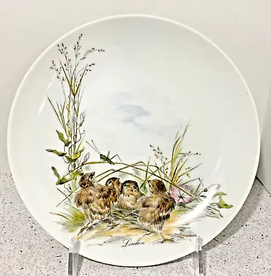 Buy Vintage Kaiser W Germany Fine Porcelain Nature Bird Decor Plate Lerchen Lark • 37.60£
