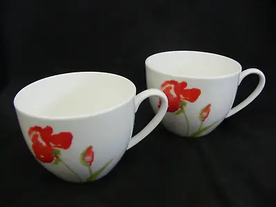 Buy Aynsley Meadow Teacup / Cup / Cups X 2 ( Meadow / Poppies Design ) • 9.99£
