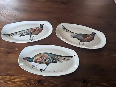 Buy Staffordshire Midwinter Plates Pheasants • 10£