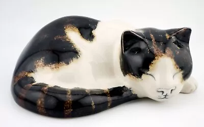Buy Very Cute Mike Hinton Ex Winstanley Sleeping Cat • 38.99£