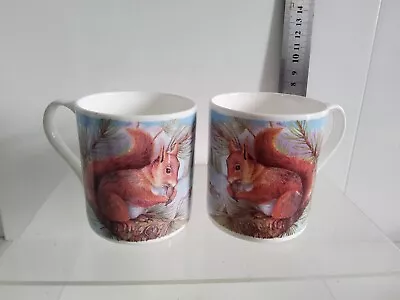Buy Staffordshire Association Potters China Cups Wildlife Design Squirrel  • 8.99£