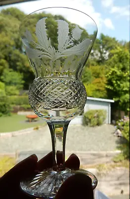 Buy 1 Edinburgh Crystal Sherry Port Glass THISTLE 4 3/8  Signed 1st OTHERS AVAILABLE • 49.99£