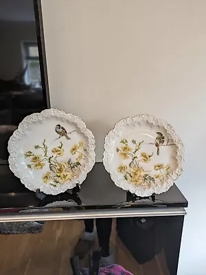 Buy Two Antique Limoges Hand Painted  Bird Plates Beautiful  • 10£