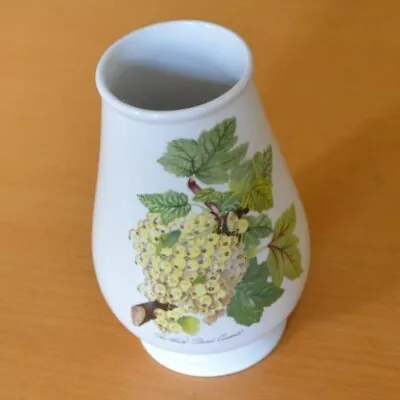 Buy Portmeirion Botanic Pomona White Dutch Currant Exceptional Used Vase 5 1/2  1st • 20£
