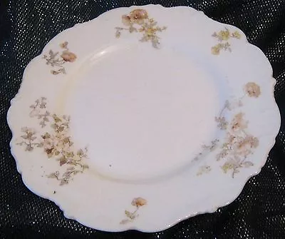 Buy Cauldon China Plate For Apsley Pellatt & Co Charing Cross 1896 Floral Design • 9.99£