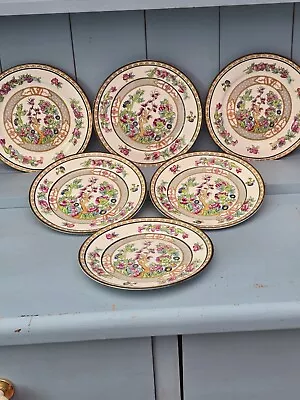 Buy Six Paragon Plates In Indian Tree Pattern • 5£