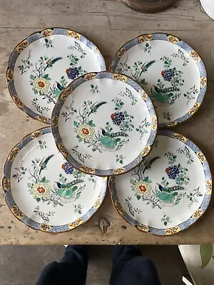 Buy Antique, 19th Century, Hand Painted Plates. Stunning Plates. • 85£