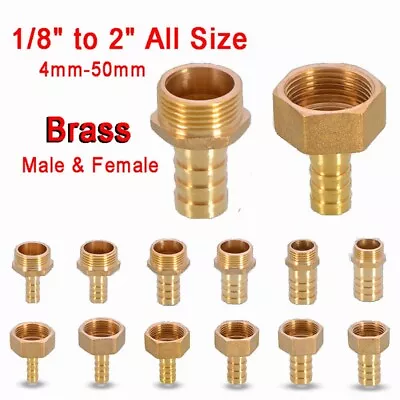 Buy BSP Brass Male/Female Thread Fitting X Barb Hose Tail End Connector 1/8  To 2  • 80.82£