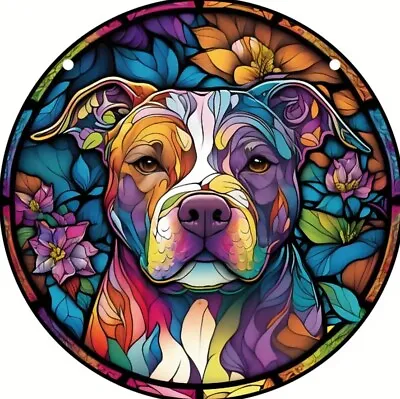 Buy Staffordshire Pit Bull Terrier 1 Dog Lover SUN Suncatcher Birthday Present Glass • 8.45£