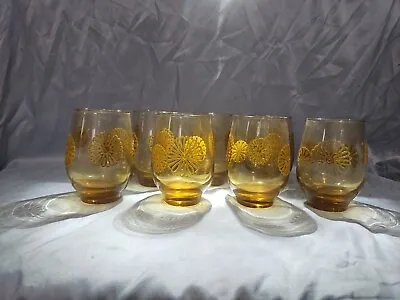 Buy Vintage MCM Drinking Glasses Set Of 7 Amber Libbey Daisy Pattern 1970’s • 28.46£