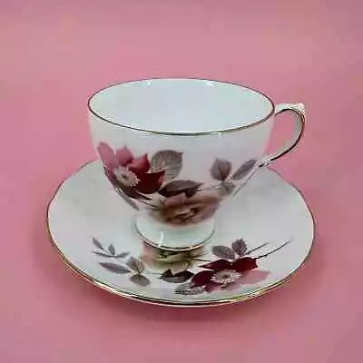 Buy Royal Vale Bone China Tea Cup And Saucer Pink Wild Rose Gold Trim 8317 Vintage • 19.17£