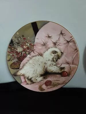 Buy Royal Worcester Crown Ware PURRFECT TREASURE  & LITTLE RASCAL Collecters Plates • 15£